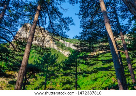 Crimea. Forest and mountains.The rise of Stavri Kaya near Yalta.