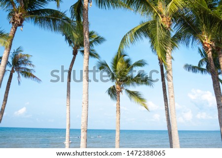 Palm trees on sky and sea background