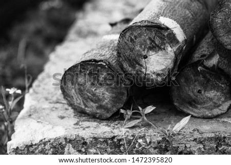 A pile of brown firewood on the ground. Natural photo close up. Timber. 