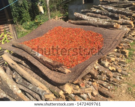 
chili drying in a plantation on a cloth
