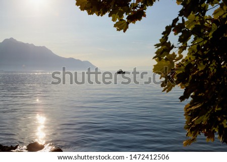 View on lake and mountains scenes through branch of tree during sunset in a summer evening