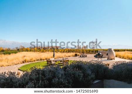 Outdoor seated dinign restaurant area, with view of nature surrounding. Beautiful view of green fields, vineyards and winery, with mountains and blue sky in the background.