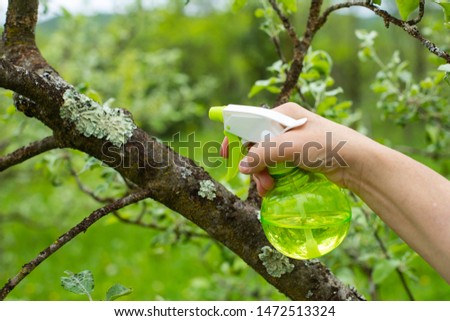  Close up picture of human hand holding spray bottle with organic fertilizer - outdoor in the garden