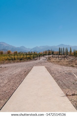 Straight path leading towards nature, view of mountain background, blue clear sky and green vineyards surrounding. Perspective, goal, outdoors, nature, travel concepts. Copy space. Mendoza, Argentina