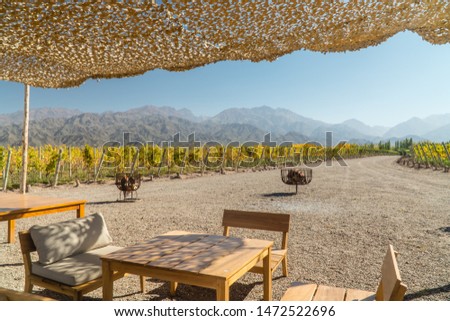 Outdoor seated dining restaurant area, with view of nature surrounding. Beautiful view of green fields, vineyards and winery, with mountains and blue sky background. Wooden furniture, chairs, table.