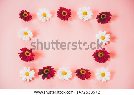 Flower pattern made of chamomile on pink background. Flat lay. Top view.