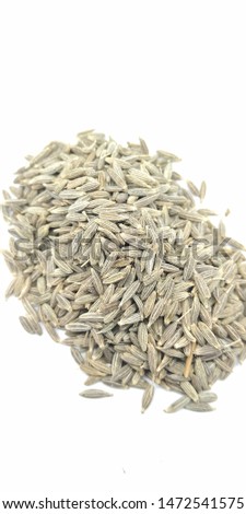 A portrait picture of cumin on white background