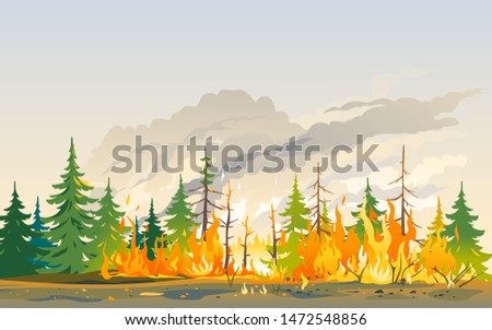 Burning forest spruces in fire flames, nature disaster concept illustration background, poster danger, careful with fires in the woods Royalty-Free Stock Photo #1472548856