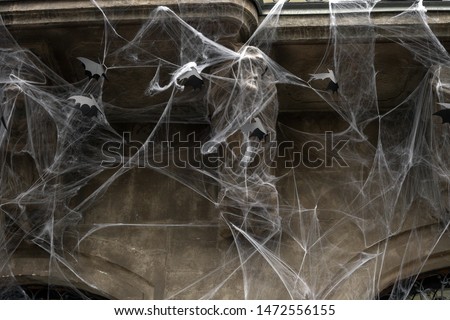 Artificial cobwebs and paper black bats on old house wall, halloween decorations