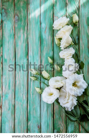  eustoma flowers on wooden background
