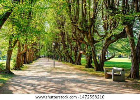 Path and bench in Old park with green trees in Slovenska Bistrica near Maribor in Slovenia. City travel in South Styria in Slovenija. Slovenian town in summer sun day.