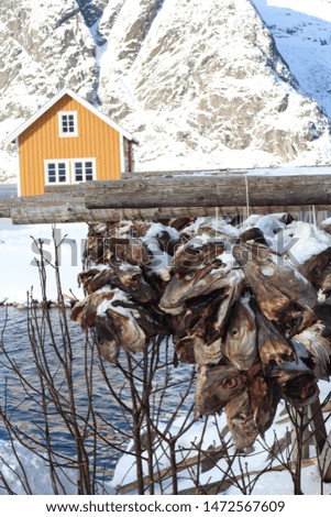 fisherman village Norway in winter.