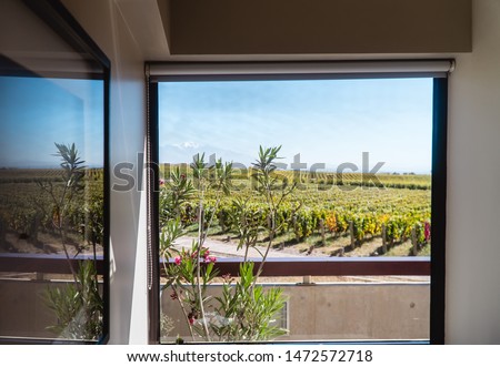 Beautiful view of green vineyards and clear blue sky, from hotel window. View of winery landscape from inside hotel room in romantic retreat resort. Shot in Mendoza, Argentina