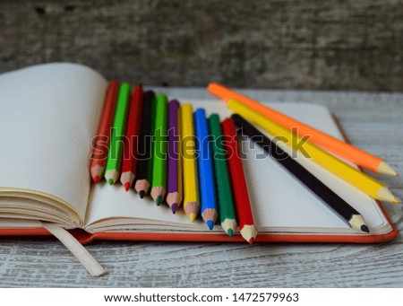 Colorful pencils for the most beautiful pictures
