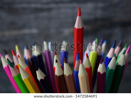 Colorful pencils for the most beautiful pictures
