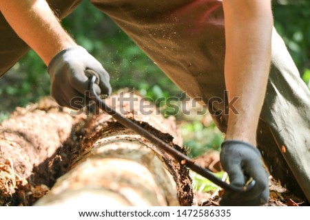 Hands of a carpenter planed wood, workplace hand tools lathe, beautiful strong men's hands, processing old oak log on a sunny day