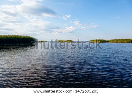 Summer landscape - lake on a Sunny day