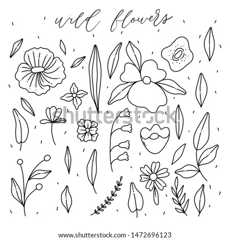 Pack of cute doodle clip art flowers and leaves.simple floral illustrations.