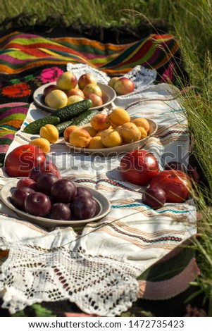 On the grass picnic – carpet and vegetables, fruits. Nature and vitamins.