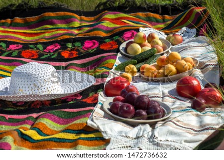 On the grass picnic – carpet and vegetables, fruits. Nature and vitamins.