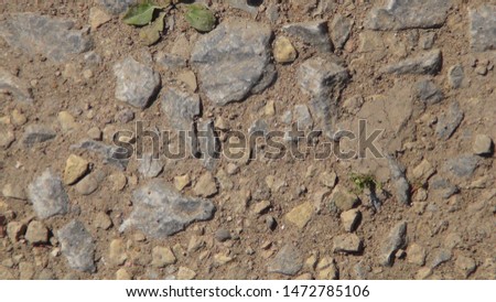 texture and background of stones and sand in the yard