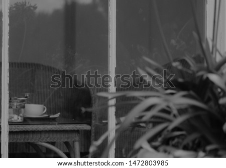 Monochrome photo of looking through a window pane, outside to in, at a chair and cup of tea on a table. Rotten, old windows with peeling paint. Reflections of flowers in window. 