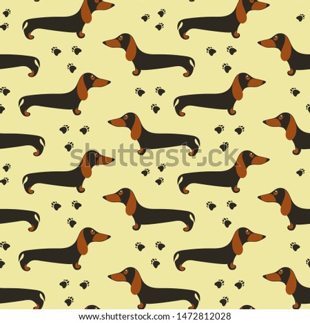 Seamless pattern with dachshunds. Pets wallpaper. Little dogs background.