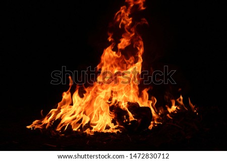 Burning wood at night The fire in the natural forest, flames and sparks on a dark background Fuel, energy and energy