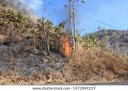 Forest fires under electric cables, on roadside mountains, burning leaves and flames. Pracimantoro, Central Java, Indonesia