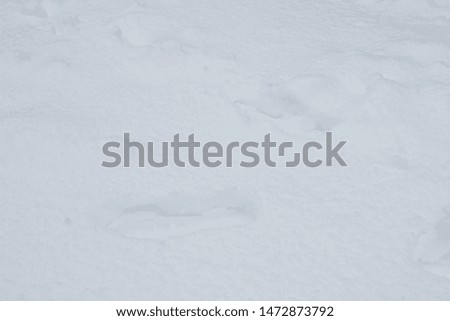 Footprint In white snow filed.