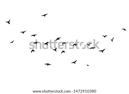 A flock of flying birds. Vector illustration Royalty-Free Stock Photo #1472910380