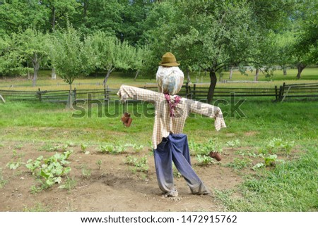 Hand made scarecrow on a field