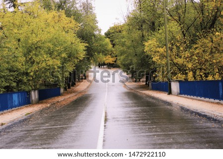 Wet road after rain picture