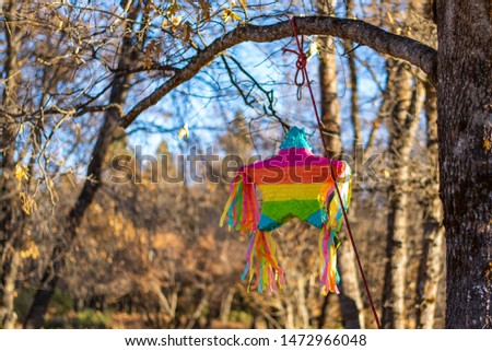 Piñata star hanging from tree