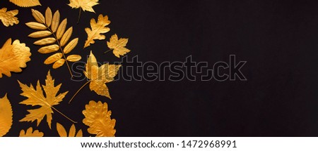 Flat lay creative autumn composition. Golden leaves on black background top view copy space. Fall concept. Autumn background. Minimal concept idea, floral design