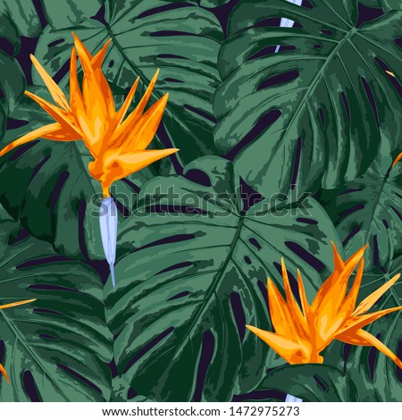 Tropical floral seamless pattern. Realistic vector background with rain forest nature, green monstera leaves, birds of paradise flower, strelitzia. Exotic jungles, botanical style. Summer fashion