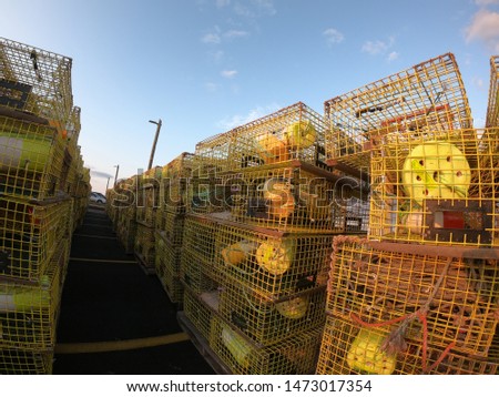 Lobster traps are placed beside port in Canada.
