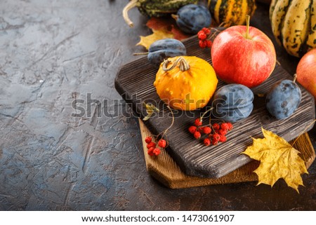 Autumn still life with vegetables and fruits - pumpkins, apples, plums nd yellow leaves. Free space for text.