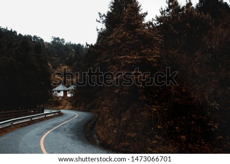 Road leading to houses on Mingyue Mountain, Jiangxi, China