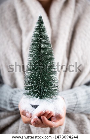 Winter Concept Young Hands Holding christmas decor.  Christmas decoration idea. Christmas decor in the hands of a woman, background with gold bokeh.