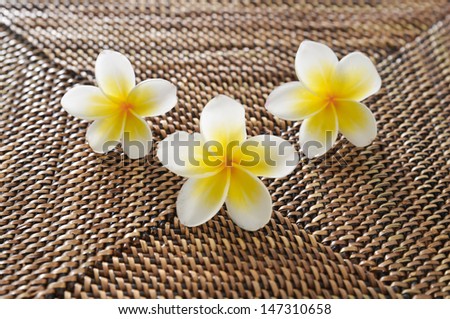 Three frangipani flower on burlap texture