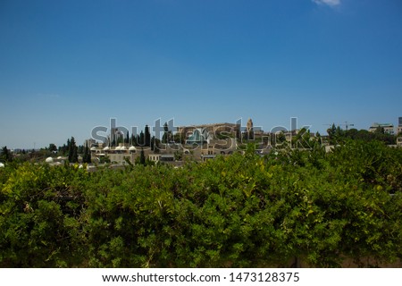 European city building landmark picture from garden park outdoor district with green bush plant foreground and empty blue sky background 