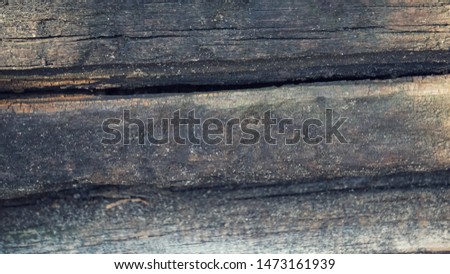 Nature wood texture background in color