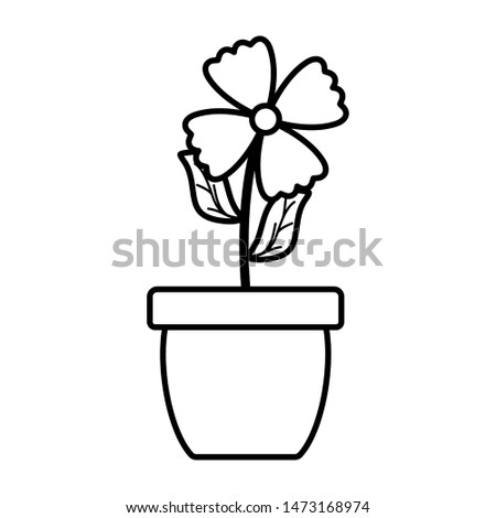 flowers garden in ceramic pot decoration