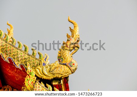 chinese dragon on the roof, beautiful photo digital picture