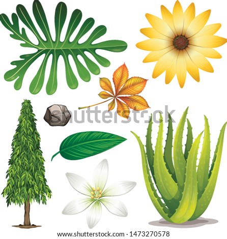 Set of isolated objects theme nature illustration