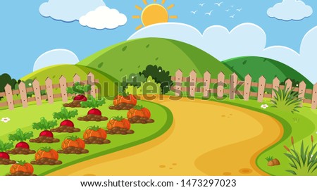 Landscape background design of vegetable garden illustration