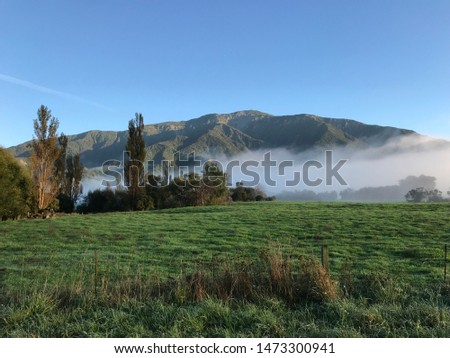 New Zealand Landscapes, bushland, farm Royalty-Free Stock Photo #1473300941