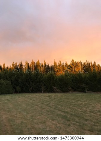 New Zealand Landscapes, bushland, farm Royalty-Free Stock Photo #1473300944