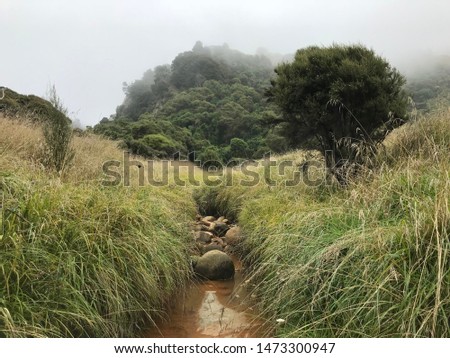 New Zealand Landscapes, bushland, farm Royalty-Free Stock Photo #1473300947